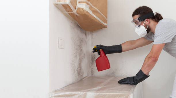 Professional Mold Testing technician working in Winchester, IL