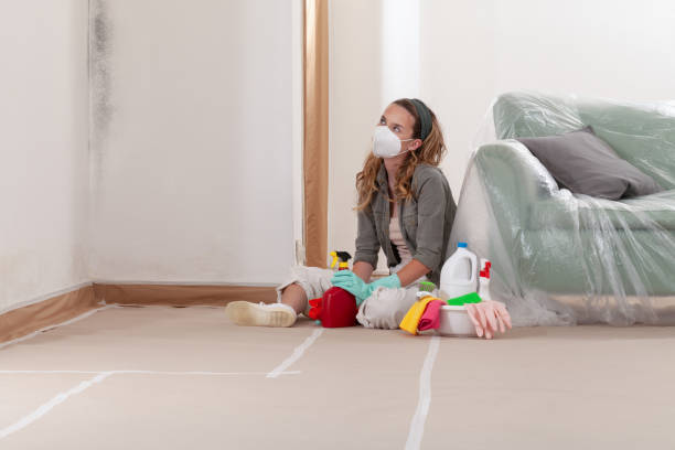 Reliable Mold Testing contractor in Winchester, IL by WQB Mold Removal